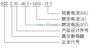 MZZ30-40.5/1600-31.5戶(hù)外高壓真空斷路器型號(hào)說(shuō)明