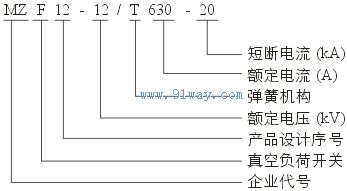 MZF12-12/T630-20戶外柱上高壓真空負(fù)荷開關(guān)型號(hào)說明