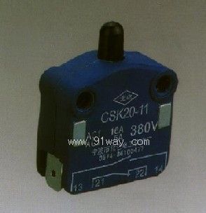 CSK20-11г_P(gun)