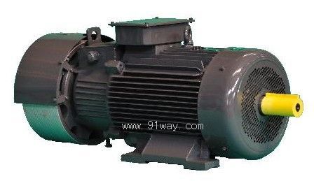 YZRDW/YZRSW系列建筑機(jī)械起重塔機(jī)渦流制動雙速三相異步電動機(jī)