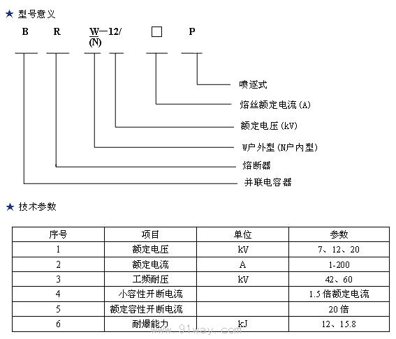 BR2 BR1 BRW BRN BRW2 BR RN RNY1 RNG RW型高壓電容器專用熔斷器型號說明及技術參數