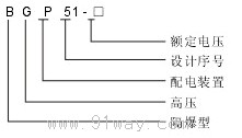 BGP51-10KV系列礦用隔爆型高壓真空配電裝置型號(hào)說(shuō)明