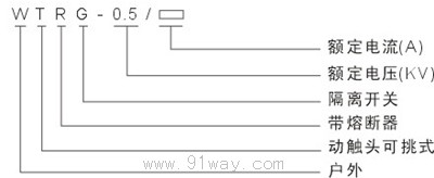 WTRG-0.5系列戶外熔斷器式隔離開關型號說明