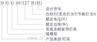 DGG60/127B(H)系列礦用型白熾燈型號說明